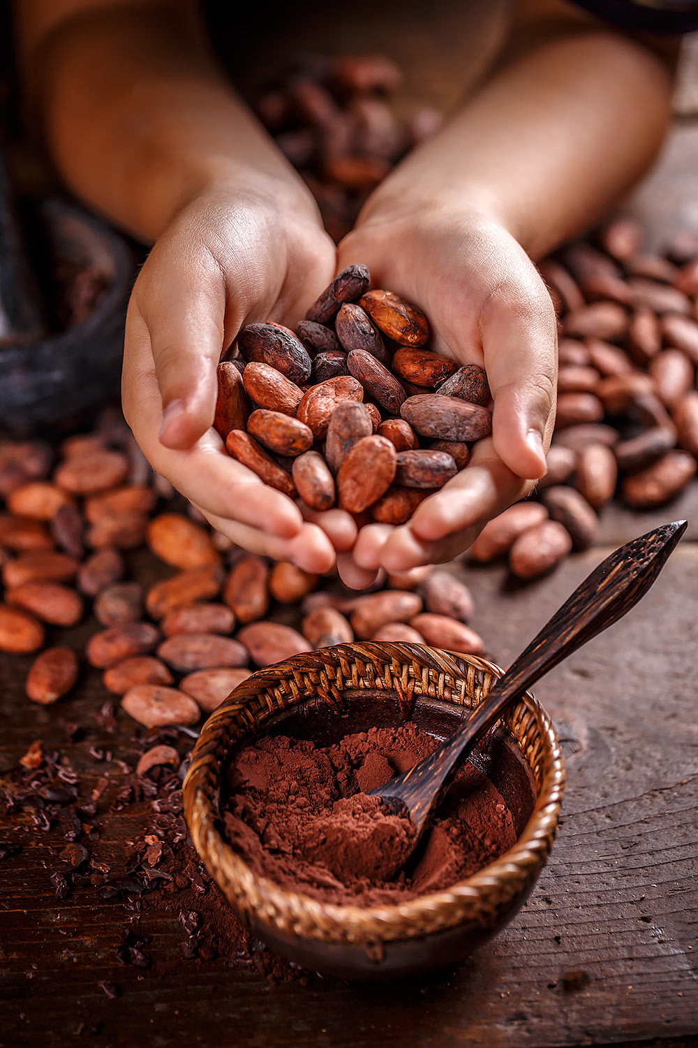 Czekolady firmy Cocoa wytwarzane są z ekologicznych nieprażonych ziaren kakaowca z dodatkiem ekologicznego cukru z palmy kokosowej.